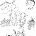 disegni-da-colorare-bambini-montagna-animali-mucca-scoiattolo-volpe-autunno